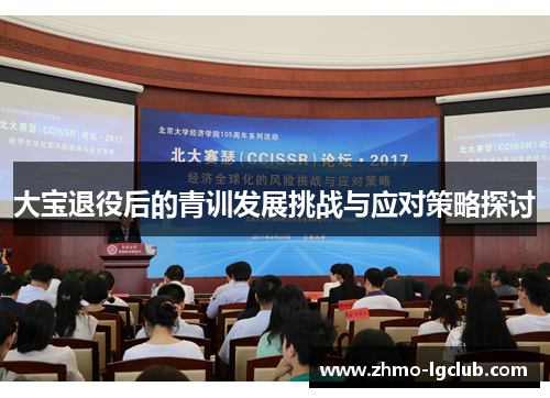大宝退役后的青训发展挑战与应对策略探讨