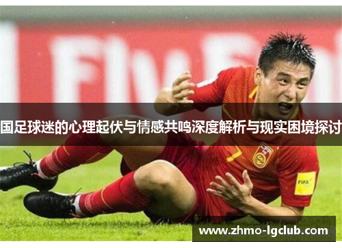 国足球迷的心理起伏与情感共鸣深度解析与现实困境探讨