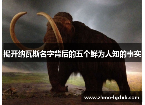 揭开纳瓦斯名字背后的五个鲜为人知的事实